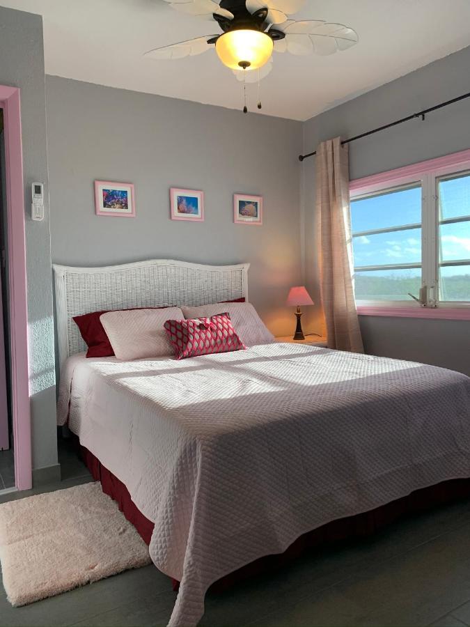 Turtles Nest Bahamas Appartement George Town Buitenkant foto