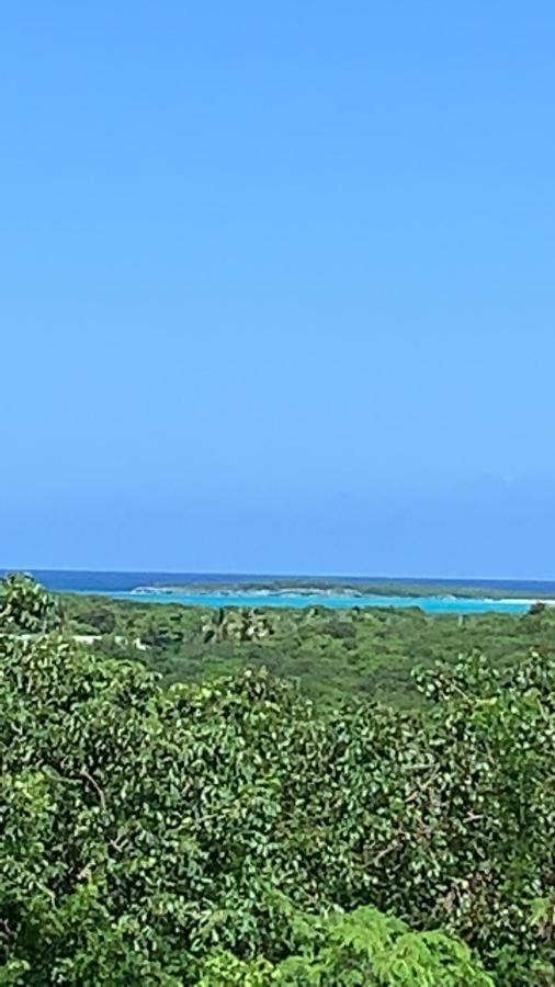 Turtles Nest Bahamas Appartement George Town Buitenkant foto