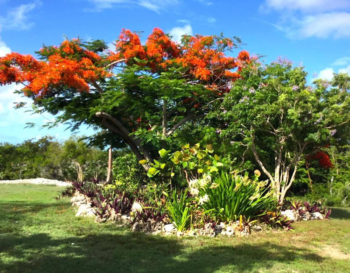 Turtles Nest Bahamas Appartement George Town Buitenkant foto